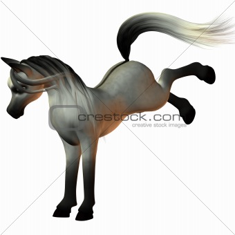 Toon Horse