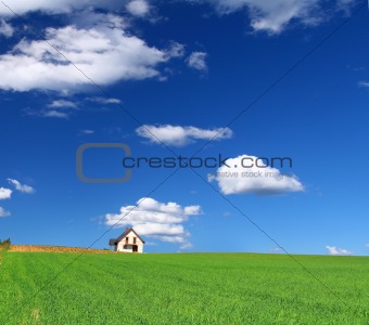 house in grass field