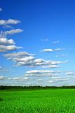 Beautiful farmlands with clouds 3 RES