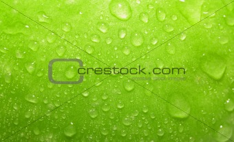 Close-up green apple with waterdrops