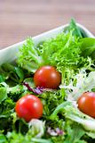 Green salad with tomatoes