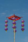 Violet chinese lanterns