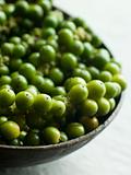 Green Peppercorns on the vine