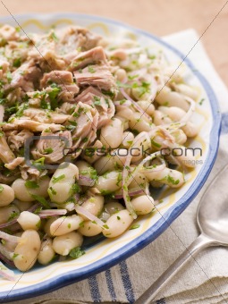 Bowl of Tuna and Bean Salad