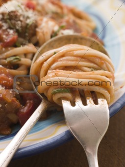 Spaghetti and Tomato Sauce twisted on a fork