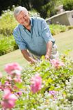 Senior man working in garden