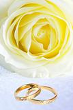 rings and rose 