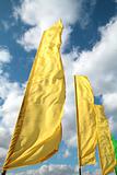 brightly yellow flags