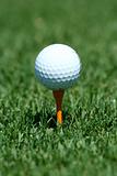 White golf ball on a orange tee