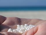tiny white shells in the palm of a hand