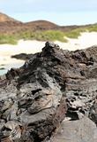 Galapagos Islands Lava flow