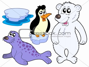 Ice animals collection