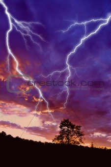 tree silhouette and  lightning