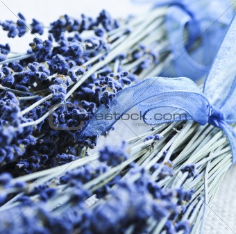 Dried lavender
