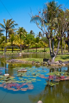Tropicval paradise garden