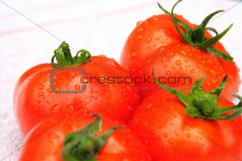  tomatoes 
