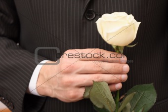  rose  in hand 