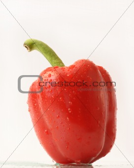  bell pepper