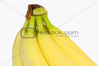 Bananas in detail