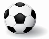 Soccer ball.
