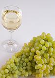 Grapes and white wine