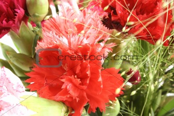 colorful pinks bouquet close up in studio