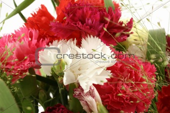 colorful pinks bouquet close up in studio