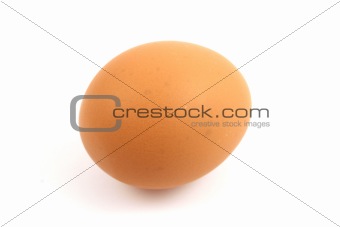 egg islolated in studio