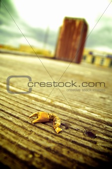 Crabclaw