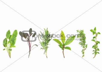 Line of Herbs