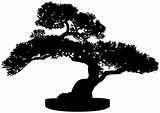 Bonsai Tree Silhouette