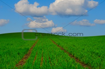 Farming Landscape