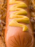 Hot Dog with Fried Onions and Mustard