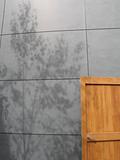 grey concrete wall and wooden door