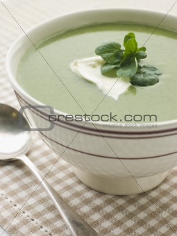 Bowl of Watercress Soup with Cr me Fraiche