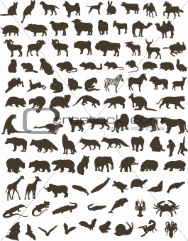 100 animals