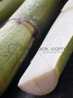 Fresh Sugar Cane Split in Half