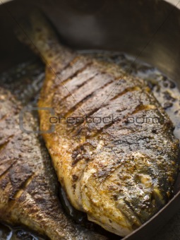 Emperor Bream Roasted with Tikka spices