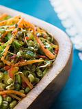 Bowl of Moong Bean Tikka Salad