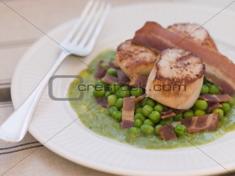Pan Fried Scallops with Peas and Bacon