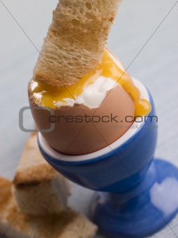 Toasted Soldier being Dipped into a Runny Yolk