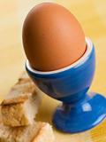Soft Boiled Egg in a Egg Cup with Toasted Soldiers