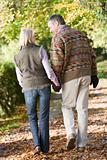 Senior couple on autumn walk