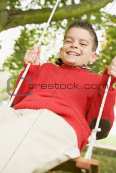 Young boy having fun on swing