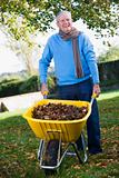 Senior man collecting autumn leaves 