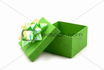 Green Gift Box with Big Ribbon