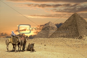 People ath the Great Pyramids