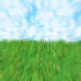 grass sky zoom