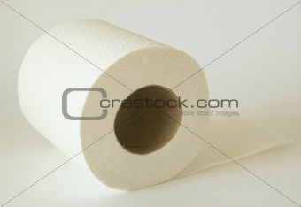 toilet paper roll