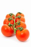 Tomatoes on bunch